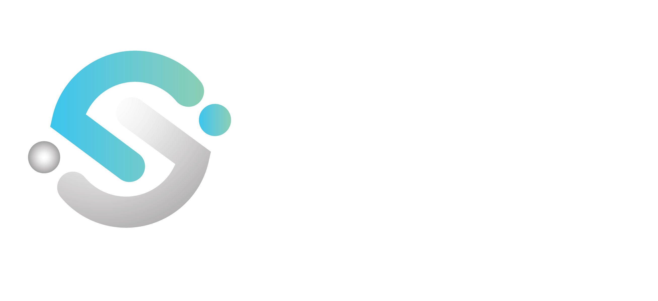 Satis ERP Logo